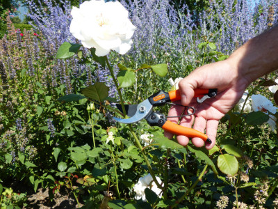 Garten PRIMUS Ressort de rechange pour sécateur de jardin