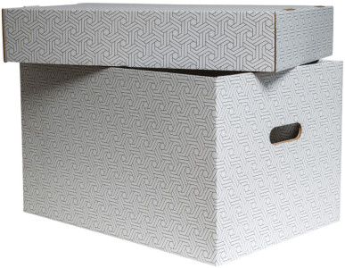 SMARTBOXPRO Boîte de rangement, grand, set de 3, blanc/gris