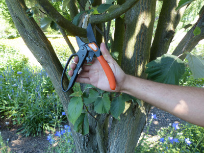 Garten PRIMUS Ressort de rechange pour sécateur avec système