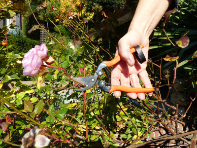 Garten PRIMUS Ressort de rechange pour sécateur spécial rose