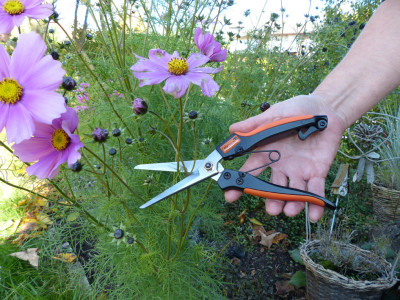 Garten PRIMUS Ressort de rechange pour ciseaux à plantes