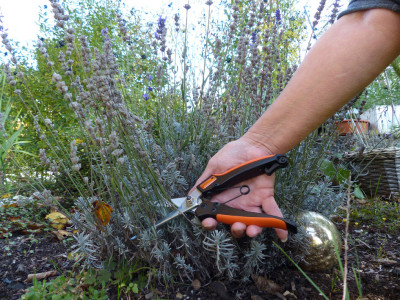 Garten PRIMUS Ressort de rechange pour ciseaux à plantes