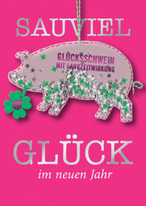 CACTUS Neujahrskarte mit Filzschwein