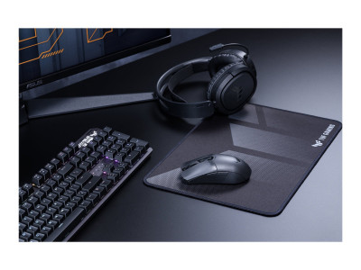 Asustek : TUF GAMING M4 WIRELESS(P306)