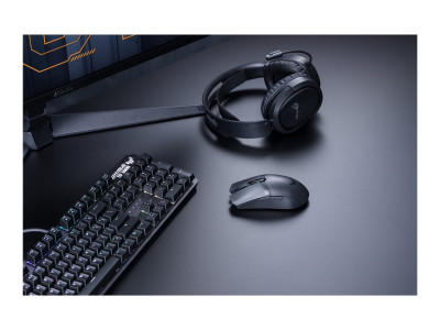 Asustek : TUF GAMING M4 WIRELESS(P306)