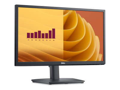 Dell : DELL 22 MONITOR - E2225HS