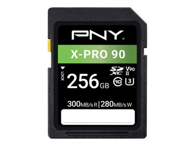 PNY : SD ELITEX-PRO 90 256GB