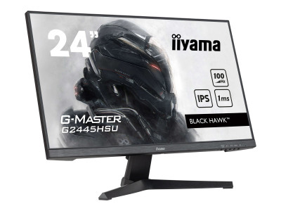 Iiyama : 24IN G-MASTER BLACK HAWK DALLE 1920X1080 1MS 1300:1 1XHDMI 1XDI