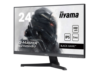 Iiyama : 24IN G-MASTER BLACK HAWK DALLE 1920X1080 1MS 1300:1 1XHDMI 1XDI