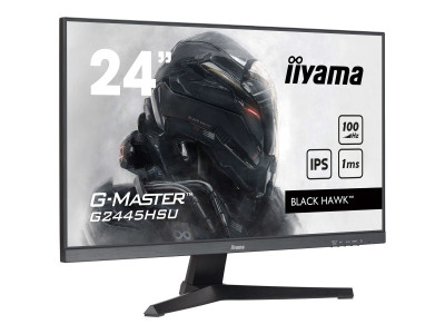 Iiyama : 24IN G-MASTER BLACK HAWK DALLE 1920X1080 1MS 1300:1 1XHDMI 1XDI