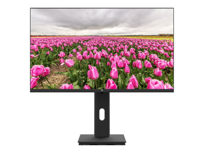 V7 : 23.8IN HT ADJUST MONITOR HDMI 100HZ 1080P FHD IPS VGA SPEAKER