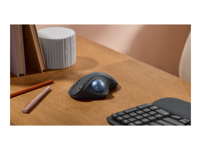 Logitech : ERGO M575S WRLS TRACKBALL GRAPHITE+BLUE BALL-EMEA28-935