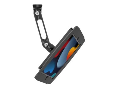 compulocks : IPAD 10.2IN SWING WALL MOUNT SPACE ENCLOSURE SWING ARM