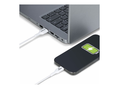 Startech : CABLE de CHARGE USB-A A USB-C de 2M CORDON USB-A A USB-C