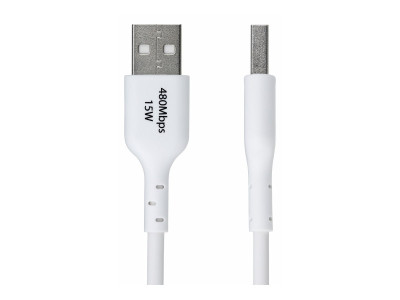 Startech : CABLE de CHARGE USB-A A USB-C de 2M CORDON USB-A A USB-C